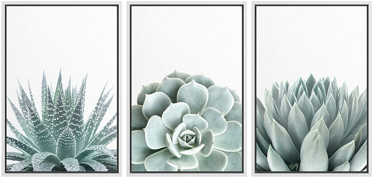 White Framed Geometric Succulent Canvas Print Set