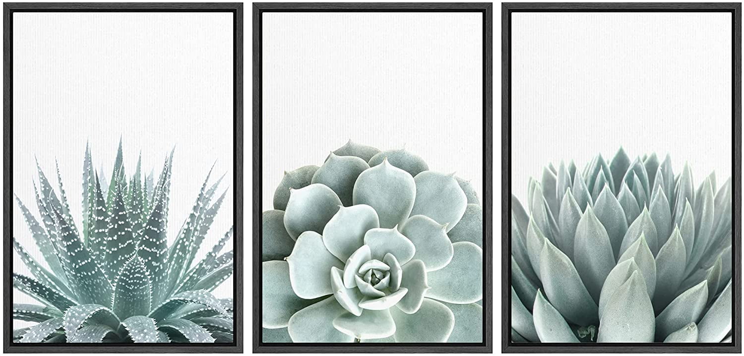 Modern Black Framed Geometric Succulent Canvas Art Set