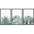 thumbnail image 1 of wall26 Framed Wall Art Print Set Green Succulent and Cactus Variety Wilderness Nature Illustrations Modern Art Rustic Closeup Colorful for Living Room, Bedroom, Office Natural - 24"x36"x3 B, 1 of 5