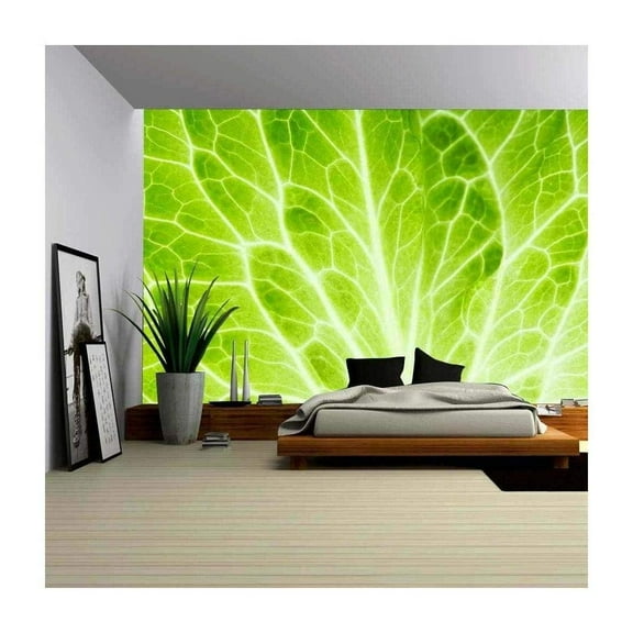 wall26 - Fresh Lettuce Leaf Closeup. Food Background - Removable Wall Mural | Self-Adhesive Large Wallpaper - 100x144 inches