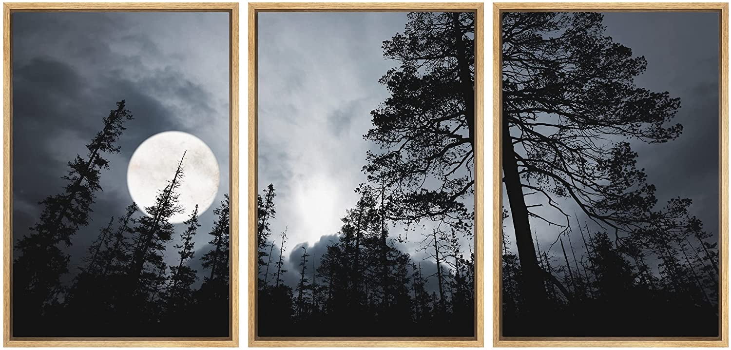 wall26 - Full Moon in The Forest Framed Canvas Art Wall Art - 16"x24"x3 ...