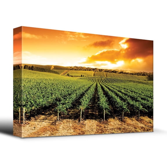 wall26 - Gorgeous Sunset Over Vineyard - Canvas Art Home Art - 16x24 inches