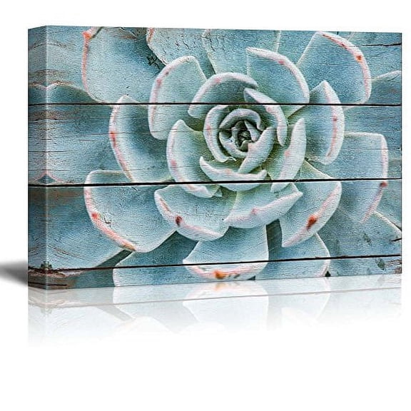 wall26 Green and Blue Succulent - Rustic Floral Arrangements - Pastels Colorful Beautiful - Wood Grain Antique - Canvas Art Home Art - 16x24 inches