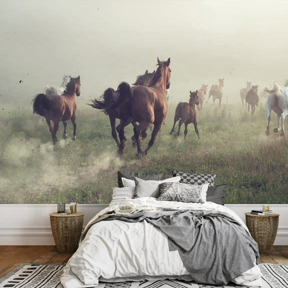 wall26 - Group of Horses on The Meadow at The Morning - Removable Wall Mural | Self-Adhesive Large Wallpaper - 100x144 inches