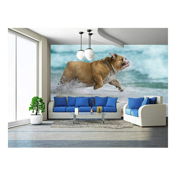 wall26 - Happy Dog Bulldog Running at The sea - Removable Wall Mural | Self-Adhesive Large Wallpaper - 100x144 inches