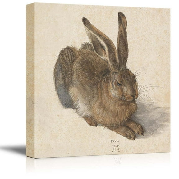 wall26 - Hare, 1502 by Albrecht Durer - Canvas Print Wall Art Famous Painting Reproduction - 16" x 16"