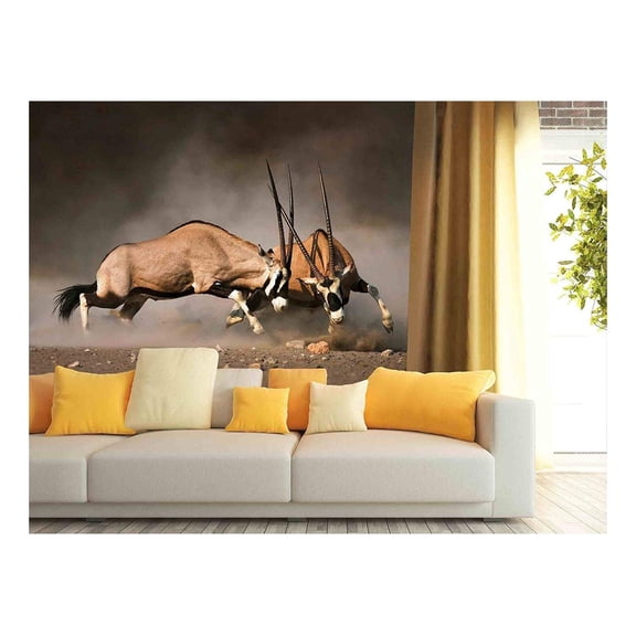 wall26 - Intense Fight Between Two Male Gemsbok on Dusty Plains of Etosha - Removable Wall Mural | Self-Adhesive Large Wallpaper - 100x144 inches