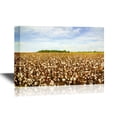 thumbnail image 1 of wall26 - Landscape Canvas Wall Art - Cotton Field Ready for Harvest - Gallery Wrap Modern Home Art | Ready to Hang - 16x24 inches, 1 of 3