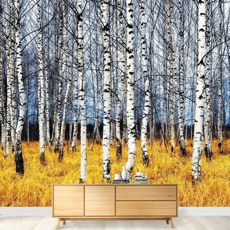 Wall Mural Birch Forest