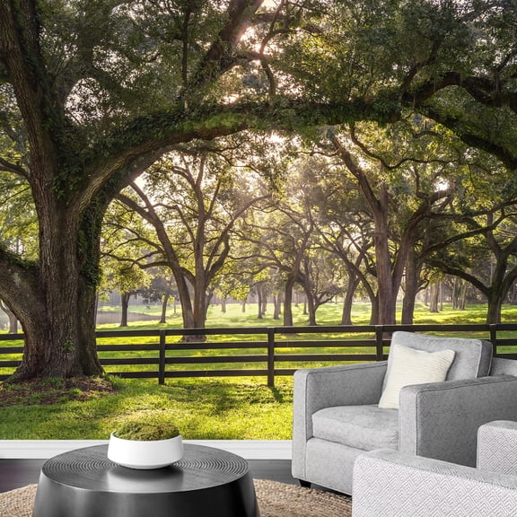 wall26 - Large Oak Tree Branch with Farm Fence in The Rural Countryside - Removable Wall Mural | Self-Adhesive Large Wallpaper - 100x144 inches
