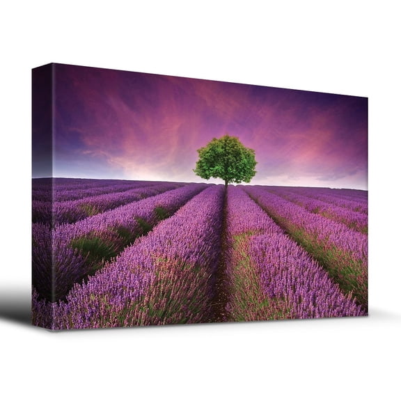 wall26 - Lavender Field Rows and a Lone Tree - Canvas Art Home Art - 16x24 inches