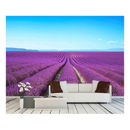 wall26 - Lavender Flower Blooming Scented Fields in Endless Rows Valensole Plateau, Provence, France, Europe - Removable Wall Mural | Self-Adhesive Large Wallpaper - 100x144 inches