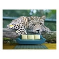 thumbnail image 1 of wall26 - Leopard Lying on an Old Tree Trunk - Removable Wall Mural | Self-Adhesive Large Wallpaper - 66x96 inches, 1 of 6