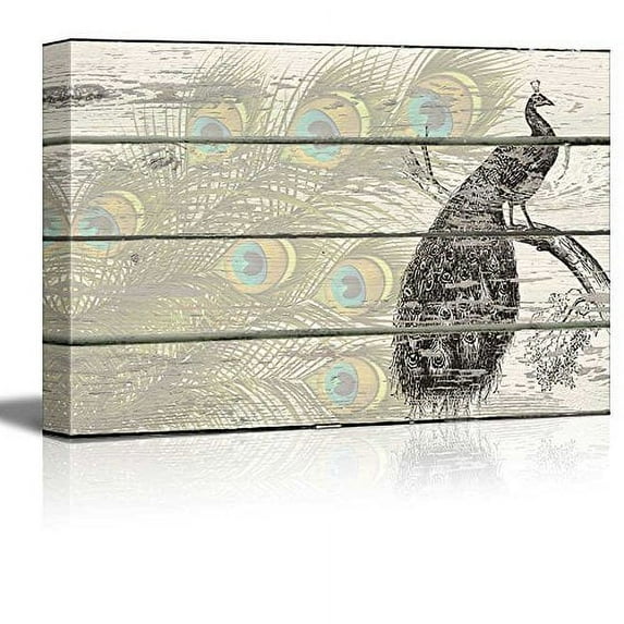 wall26 - Lithographic Peacock with Feathers Artwork - Rustic Canvas Wall Art Home Art - 12x18 inches