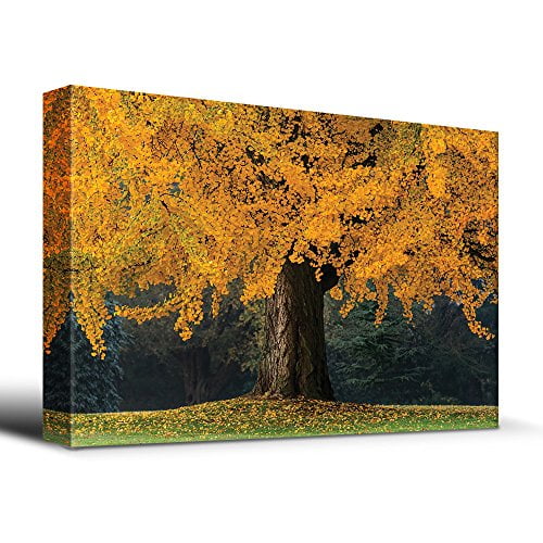 wall26 Majestic Ancient Yellow Tree Canvas Art Home Art 24x36