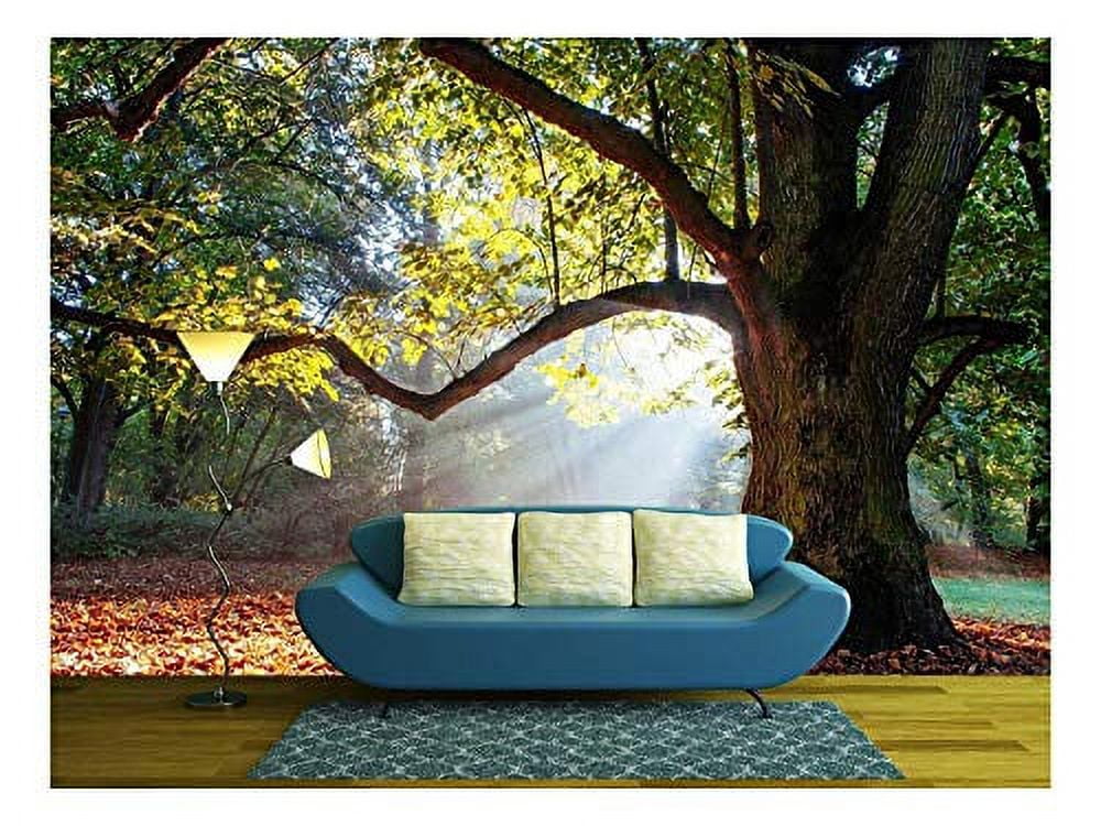 wall26 - Oak Tree in Full Leaf in Summer Standing Alone - Removable Wall  Mural