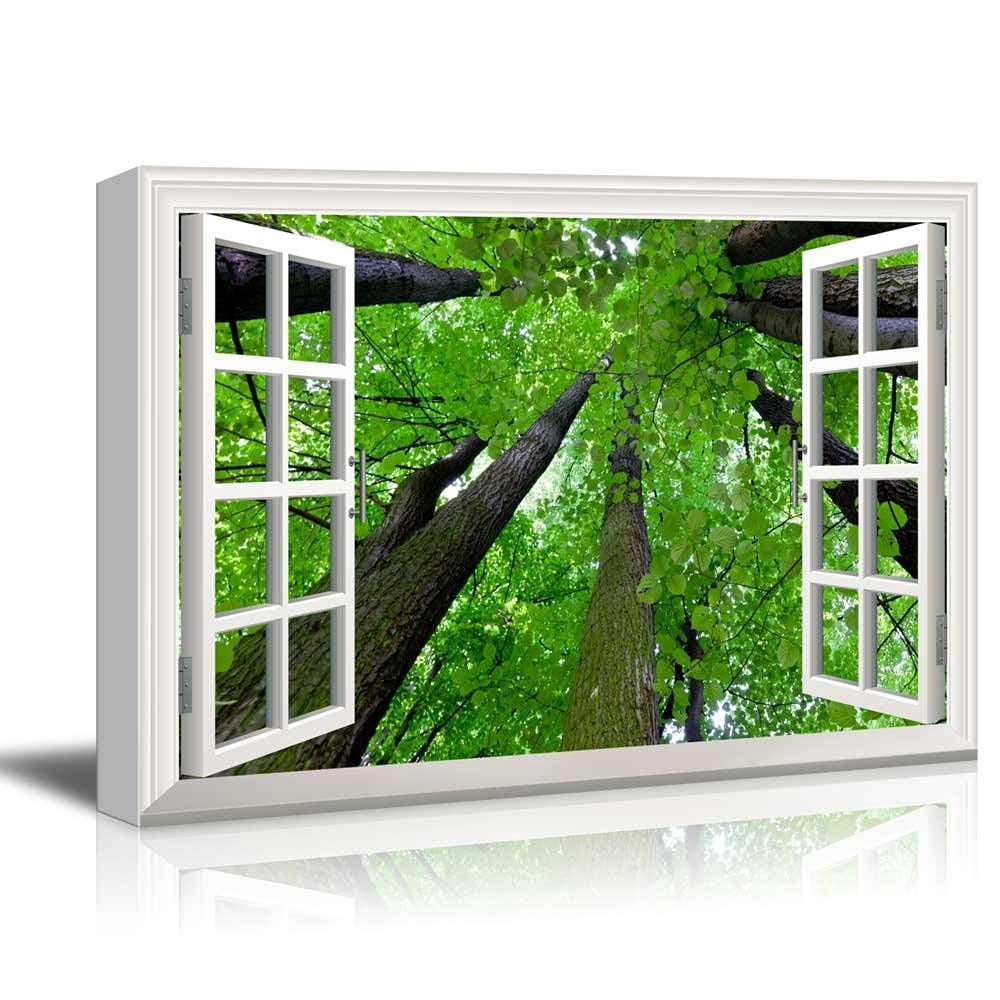 ROAD×canvas Wname lloncloss top wall26 - Modern White Window Looking Out Into The Top of The Trees