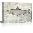 thumbnail image 1 of wall26 - Multicolor Blueback Herring Fish Illustration on a Textured Background - Canvas Art Home Art - 24x36 inches, 1 of 4