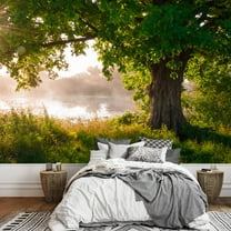 wall26 - Oak Tree in Full Leaf in Summer Standing Alone - Removable Wall Mural | Self-Adhesive Large Wallpaper - 66x96 inches
