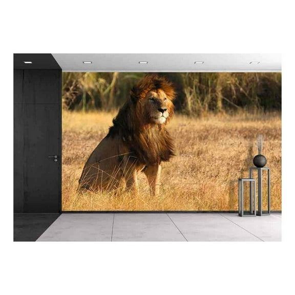 wall26 - Old Lion in Sunset Light - Removable Wall Mural | Self-Adhesive Large Wallpaper - 66x96 inches