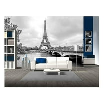 wall26 - Paris Eiffel Tower from Seine. Cityscape in Black and White - Removable Wall Mural | Self-Adhesive Large Wallpaper - 66x96 inches