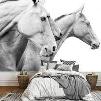 wall26 - Purebred Horses - Removable Wall Mural | Self-Adhesive Large Wallpaper - 100x144 inches
