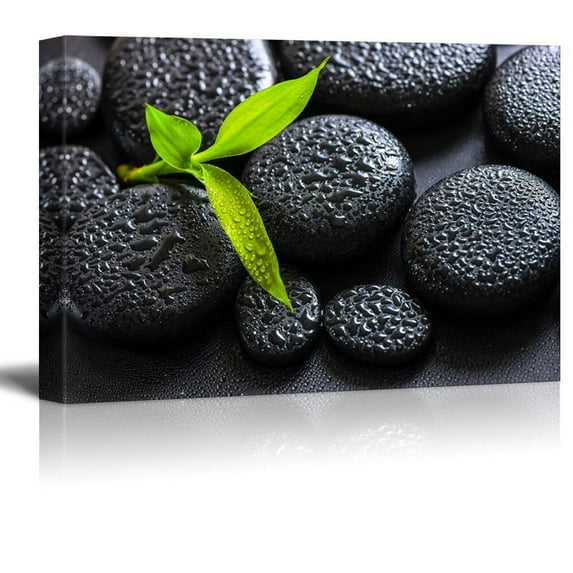 wall26 - Rain Drops Over Black Rocks and a Little Green Plant - Canvas Art Home Art - 16x24 inches