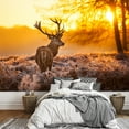 thumbnail image 1 of wall26 - Red Deer in Morning Sun - Removable Wall Mural | Self-Adhesive Large Wallpaper - 100x144 inches, 1 of 6