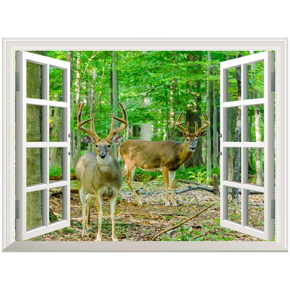 wall26 Removable Wall Sticker/Wall Mural - Whitetail Deer/Buck in Velvet Standing in The Woods | Creative Window View Home Decor/Wall Decor - 36"x48"