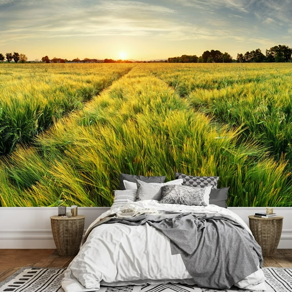 wall26 - Rural Landscape with Wheat Field on Sunset - Removable Wall Mural | Self-Adhesive Large Wallpaper - 100x144 inches