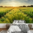 thumbnail image 1 of wall26 - Rural Landscape with Wheat Field on Sunset - Removable Wall Mural | Self-Adhesive Large Wallpaper - 66x96 inches, 1 of 6
