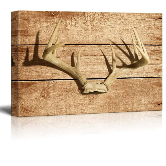 wall26 - Rustic Canvas Wall Art - Deer Antler - Giclee Print Modern Wall Art | Stretched Gallery Wrap Ready to Hang Home Decoration - 12x18 inches