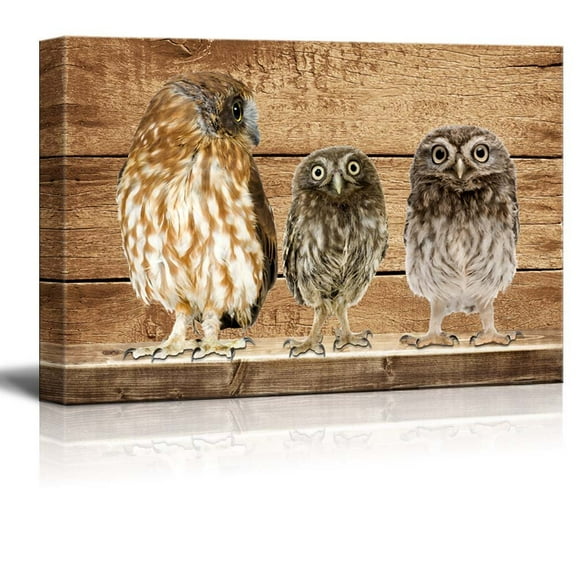 wall26 - Rustic Canvas Wall Art - Three Owls - Giclee Print Modern Wall Art | Stretched Gallery Wrap Ready to Hang Home Decoration - 12x18 inches