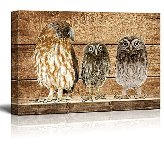 wall26 - Rustic Canvas Wall Art - Three Owls - Giclee Print Modern Wall Art | Stretched Gallery Wrap Ready to Hang Home Decoration - 24x36 inches