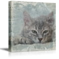 thumbnail image 1 of wall26 Square Cat Series Canvas Wall Art - Cat with Grunge Background - Giclee Print Gallery Wrap Modern Home Art Ready to Hang - 12x12 inches, 1 of 4