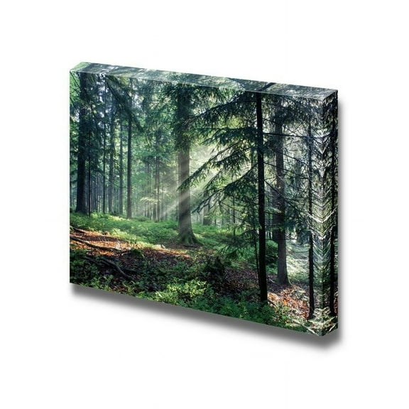 wall26 Sunny Morning in The Forest with Sunbeams Shining Through The Trees - Canvas Art Wall Art - 12" x 18"