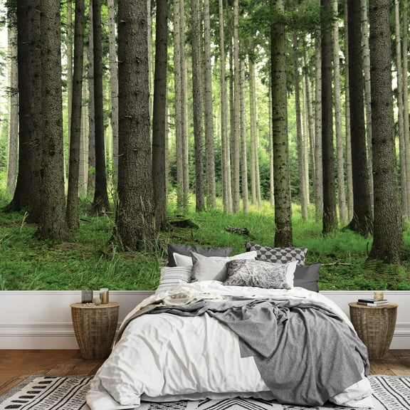 wall26 - Tree Trunks in a Beautiful Green Forest - Landscape - Wall Mural, Removable Sticker, Home Decor - 66x96 inches