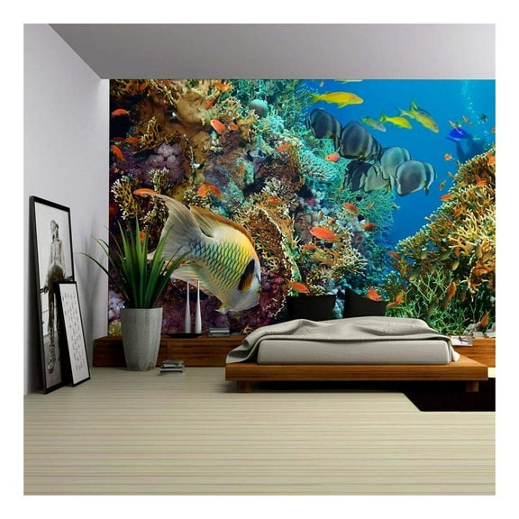 wall26 - Tropical Anthias Fish with net fire Corals on Red Sea Reef Underwater - Removable Wall Mural | Self-Adhesive Large Wallpaper - 100x144 inches