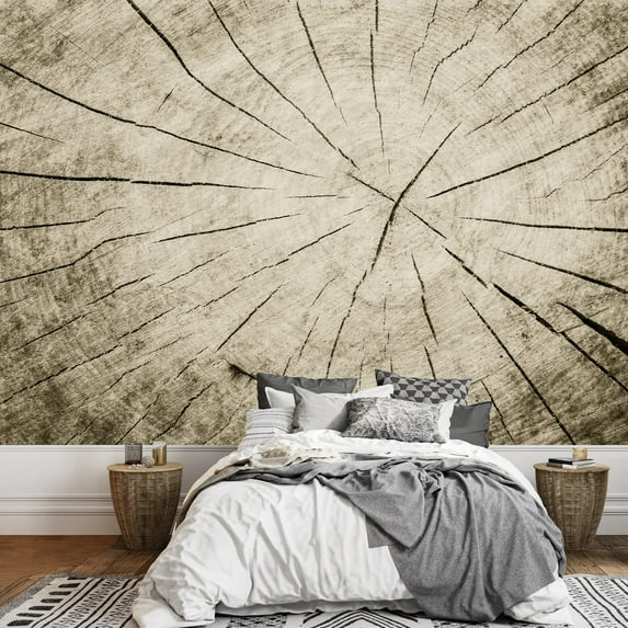 wall26 - Up Close Portrait of The Wrinkles and Cracks Inside of a Tree Trunk - Wall Mural, Removable Sticker, Home Decor - 100x144 inches