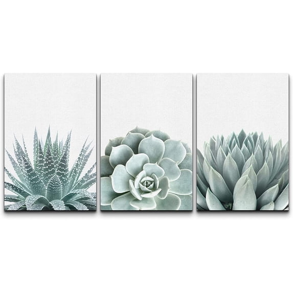 wall26 Wall Art Print Set Green Succulent and Cactus Variety Wilderness Nature Illustrations Modern Art Rustic Closeup Colorful for Living Room, Bedroom, Office - 16"x24"x3
