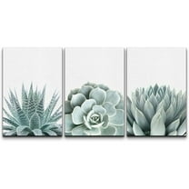 wall26 Wall Art Print Set Green Succulent and Cactus Variety Wilderness Nature Illustrations Modern Art Rustic Closeup Colorful for Living Room, Bedroom, Office - 24"x36"x3