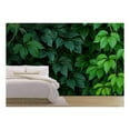 thumbnail image 1 of wall26 - Wall of Green Climbing Plant Full Screen as Background. Oil Painting Effect. - Removable Wall Mural | Self-Adhesive Large Wallpaper - 66x96 inches, 1 of 6