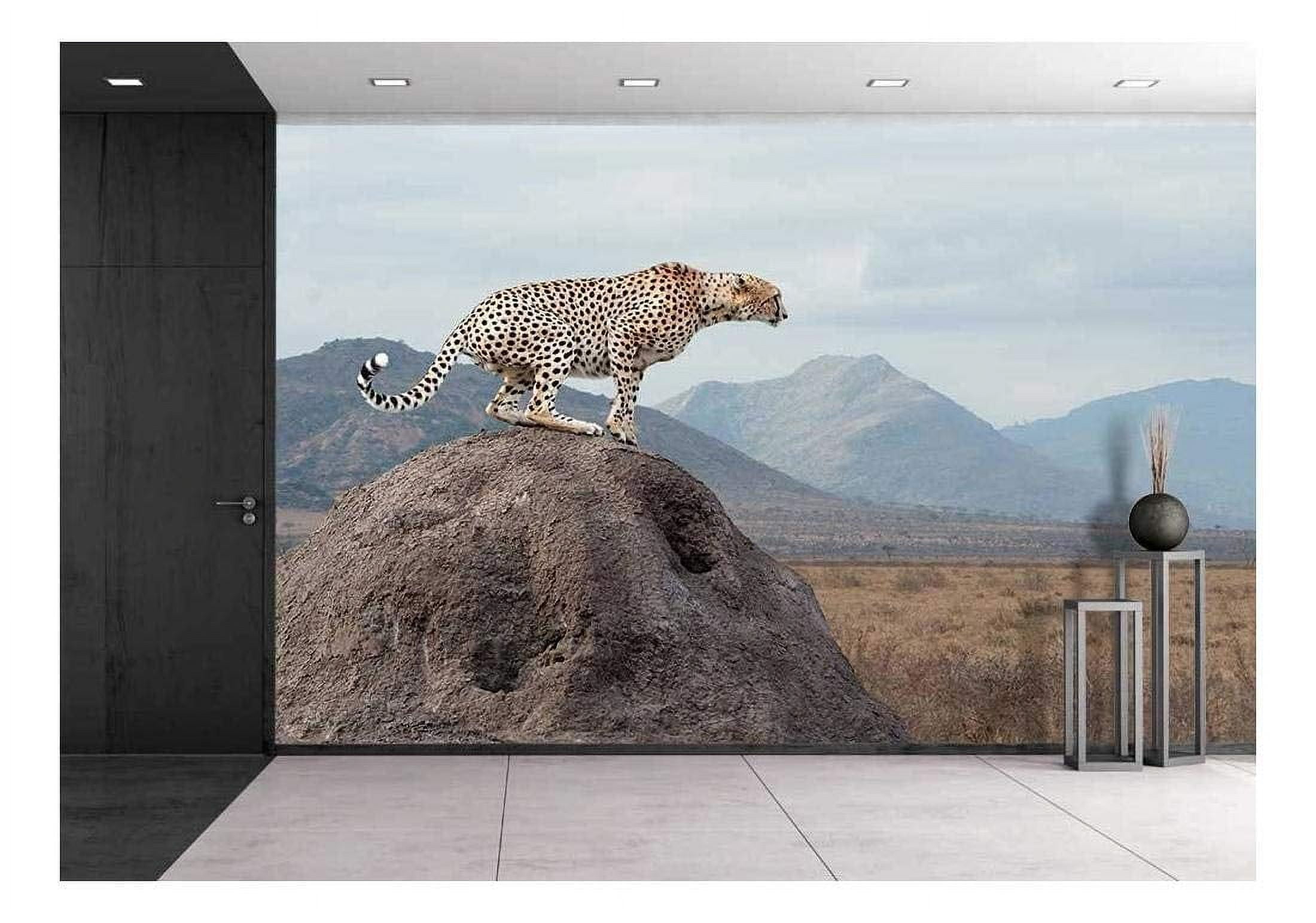 wall26 - Wild African Cheetah, Beautiful Mammal Animal. Africa, Kenya - Removable Wall Mural | Self-Adhesive Large Wallpaper - 100x144 inches
