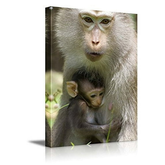 wall26 - Wild Animals Canvas Prints Series - Monkeys | Stretched and Ready to Hang - 16"x24"