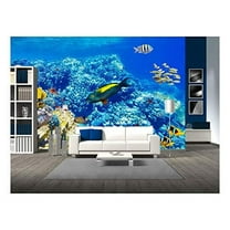 wall26 - Wonderful and Beautiful Underwater World with Corals and Tropical Fish. - Removable Wall Mural | Self-Adhesive Large Wallpaper - 100x144 inches