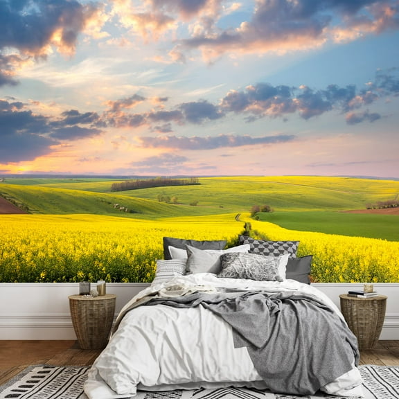 wall26 - Yellow Flowering Fields, Ground Road and Beautiful Valley, Nature Spring Landscape - Removable Wall Mural | Self-Adhesive Large Wallpaper - 66x96 inches