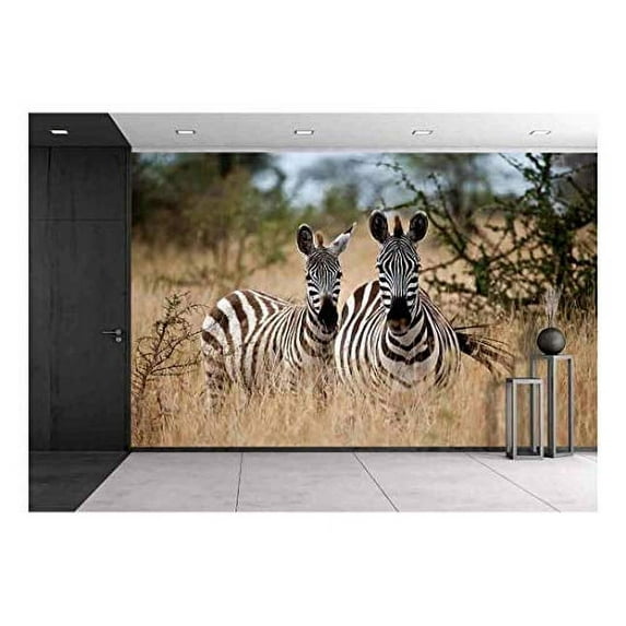 wall26 - Zebras in The High Grass of The Savanna, Serengeti National Park, Tanzania - Removable Wall Mural | Self-Adhesive Large Wallpaper - 66x96 inches