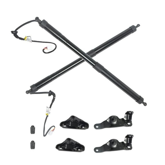 waltyotur 1 Pair Power Tailgate Trunk Lift Support Strut Shock Replacement for 2014-2019 Highlander 6891009130 6891009120