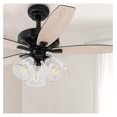 wangc123 52 Inch Farmhouse and , Outdoor Fan Ceiling with Clear Seeded