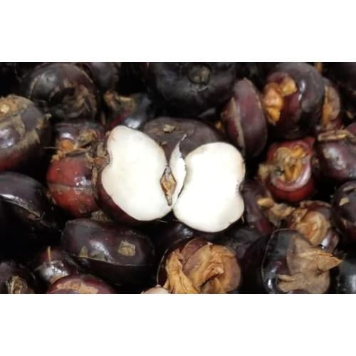 water chestnuts_2 lbs